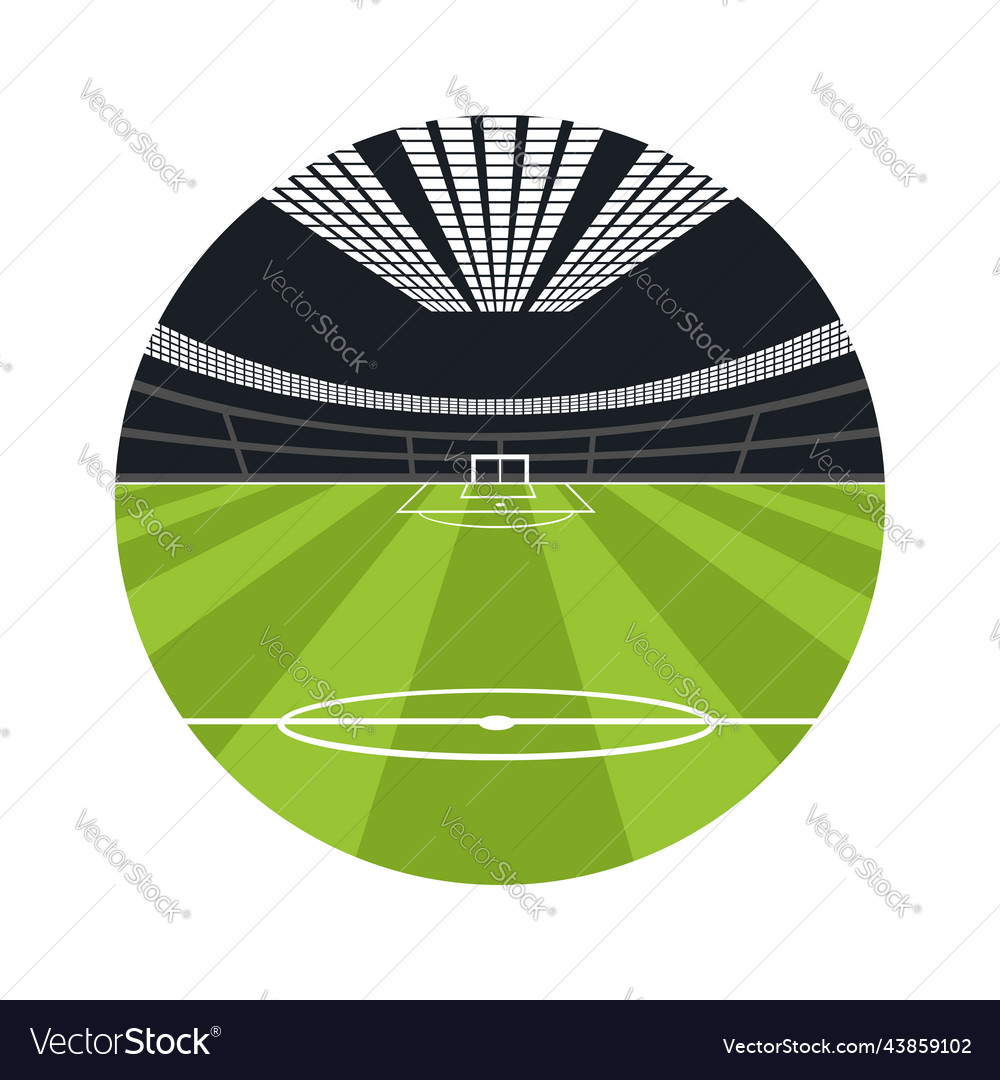 Empty football field side view color image from