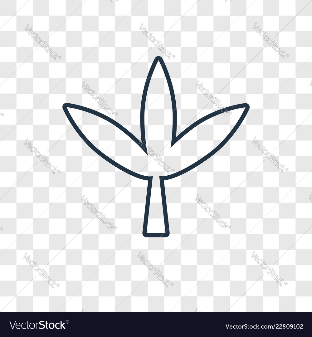 Leaf concept linear icon isolated on transparent vector image Leaf concept linear icon isolated on transparent