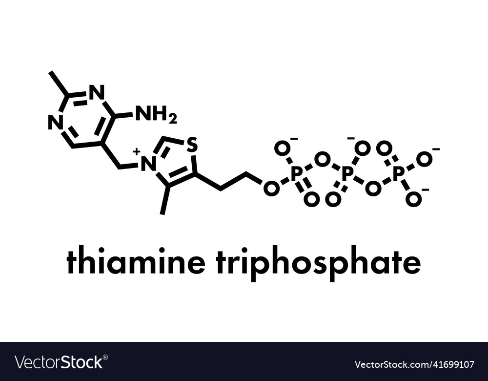 Thiamine triphosphate molecule skeletal formula