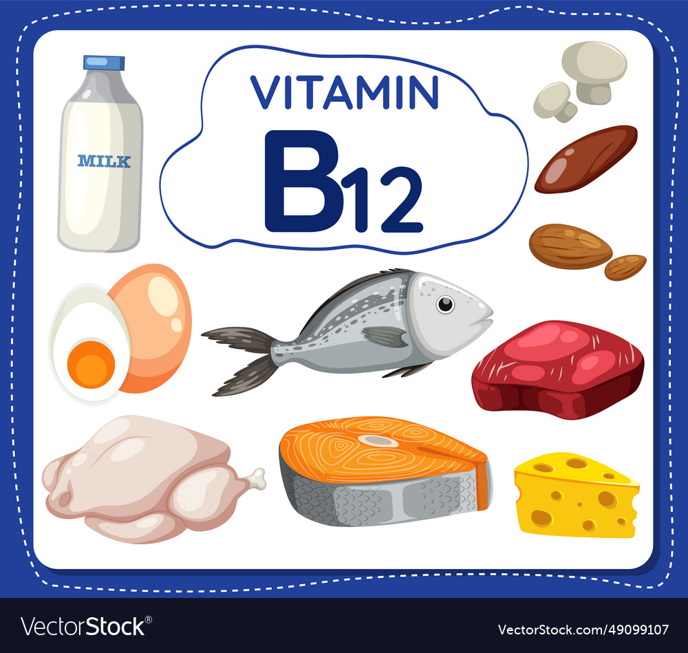 Vitamin b12 frame banner with food and fruit Vector Image