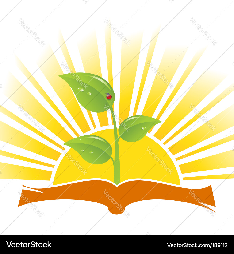 Book Royalty Free Vector Image - VectorStock