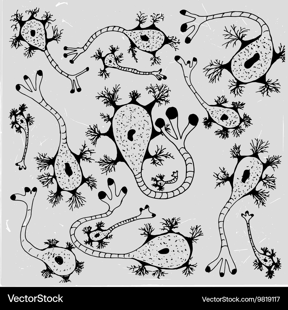 Biological background Royalty Free Vector Image
