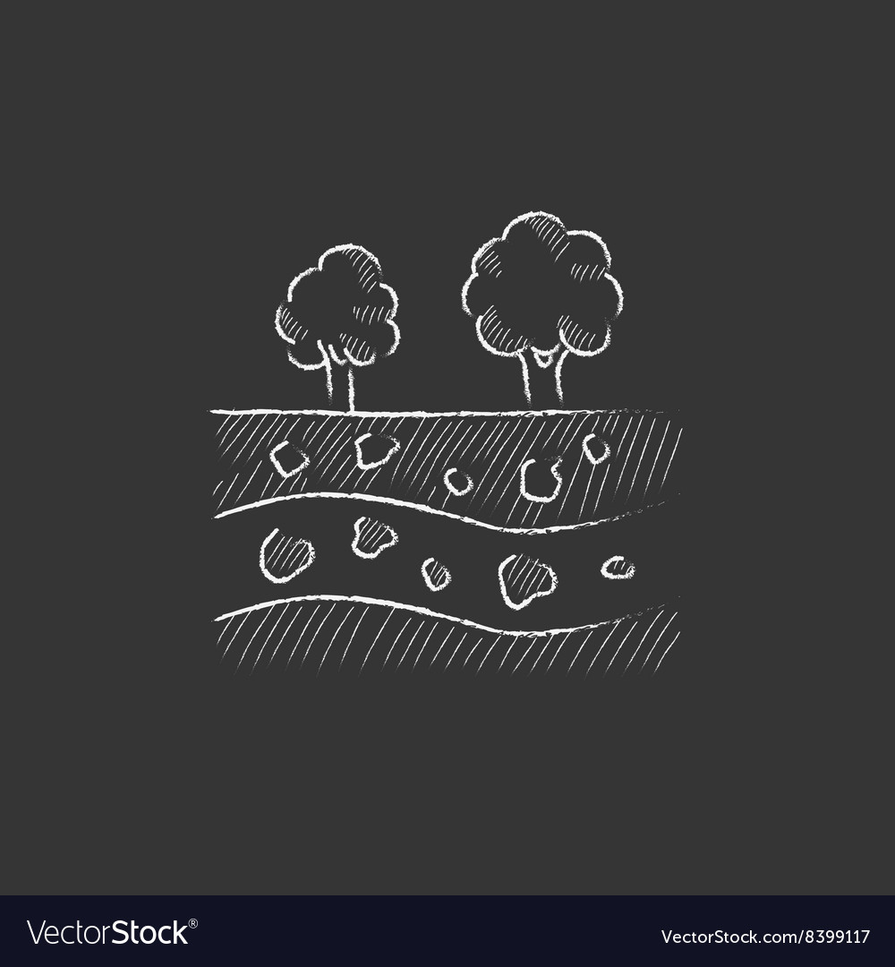 Cut of soil with different layers and trees on top
