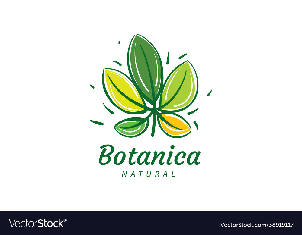 Logo with inscription botanica and painted Vector Image