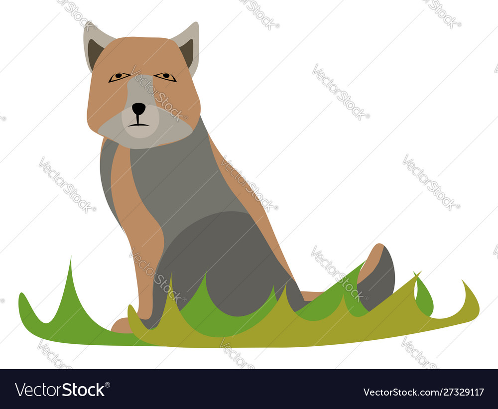 Sad fox on white background