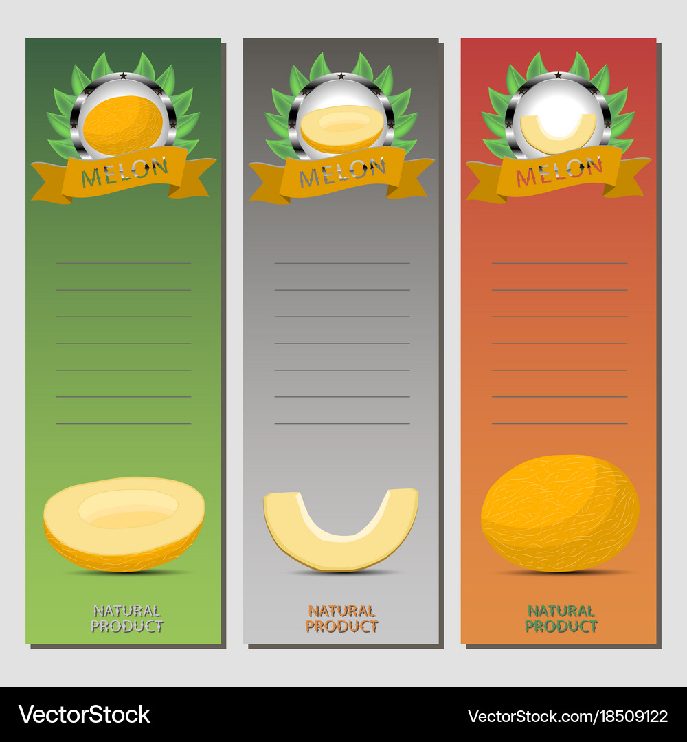 Melon Royalty Free Vector Image - VectorStock