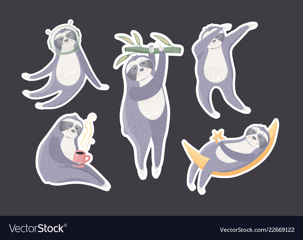 Set of sloths in different poses