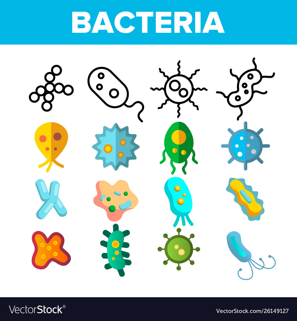 Bacteria bacterial cells thin line icons