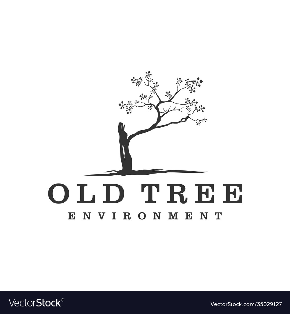 Image Details IST_38459_07316 - Tree Logo, Life Balance Education Vector,  Luxurious Elegant Simple Tree Design, Playground Illustration Icon