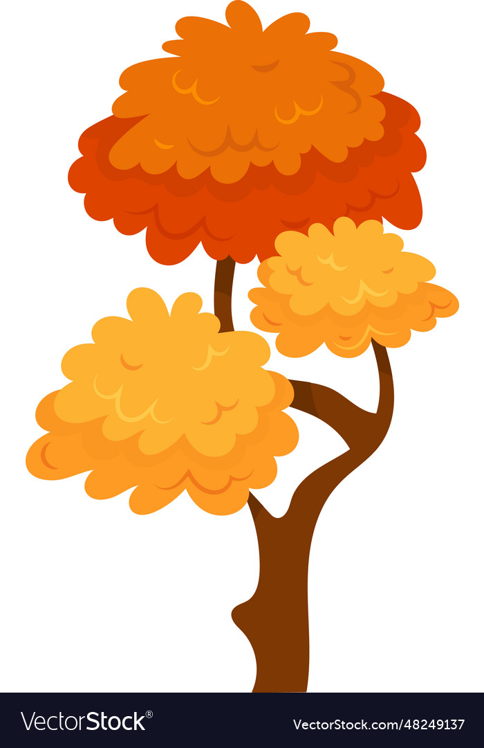 Autumn tree plant Royalty Free Vector Image - VectorStock