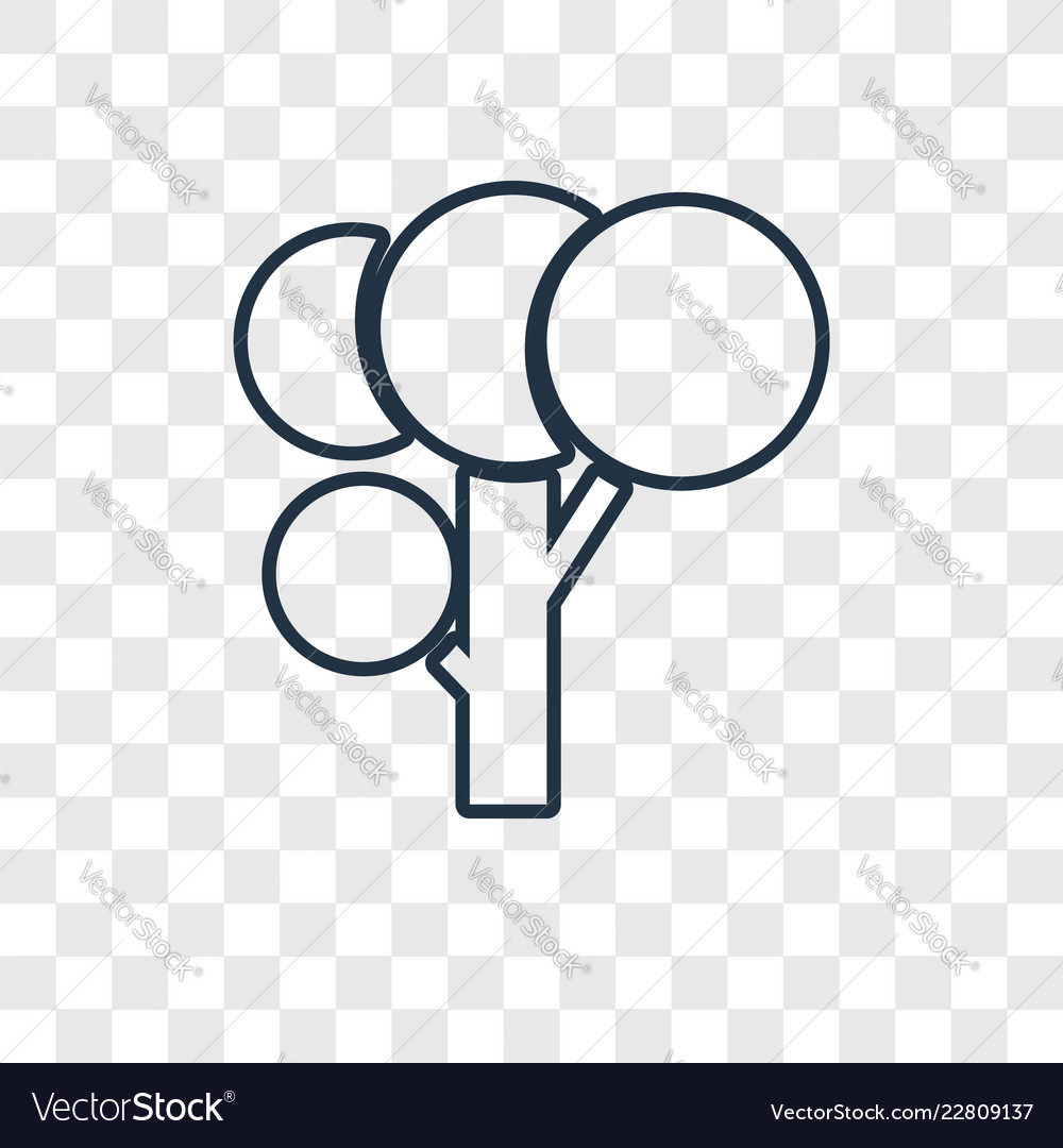 Tree concept linear icon isolated on transparent Vector Image Tree concept linear icon isolated on transparent