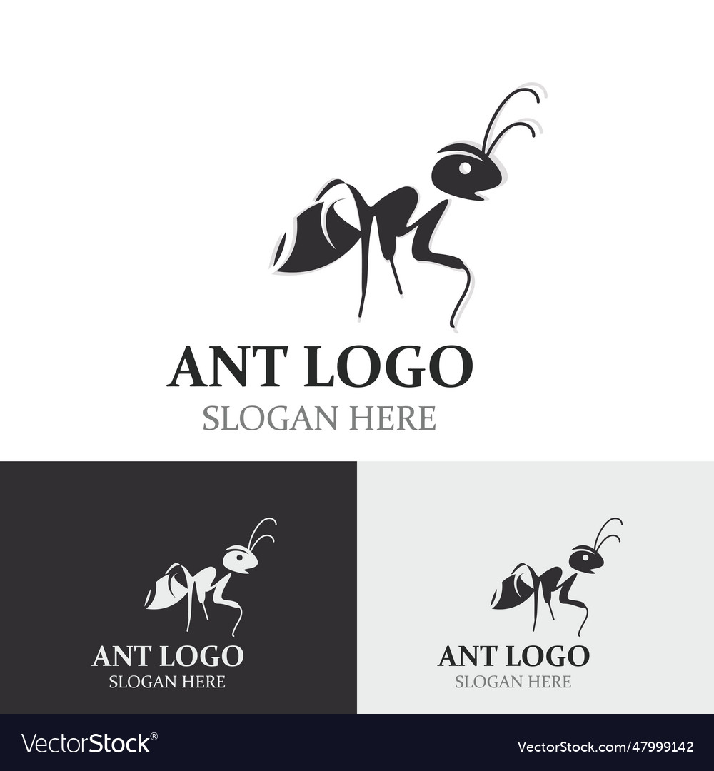 Ant logo design silhouette isolated animal ants