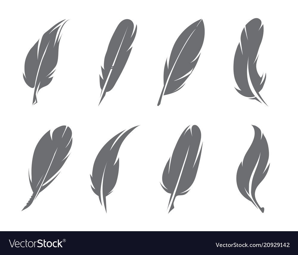 Feathers Royalty Free Vector Image - VectorStock