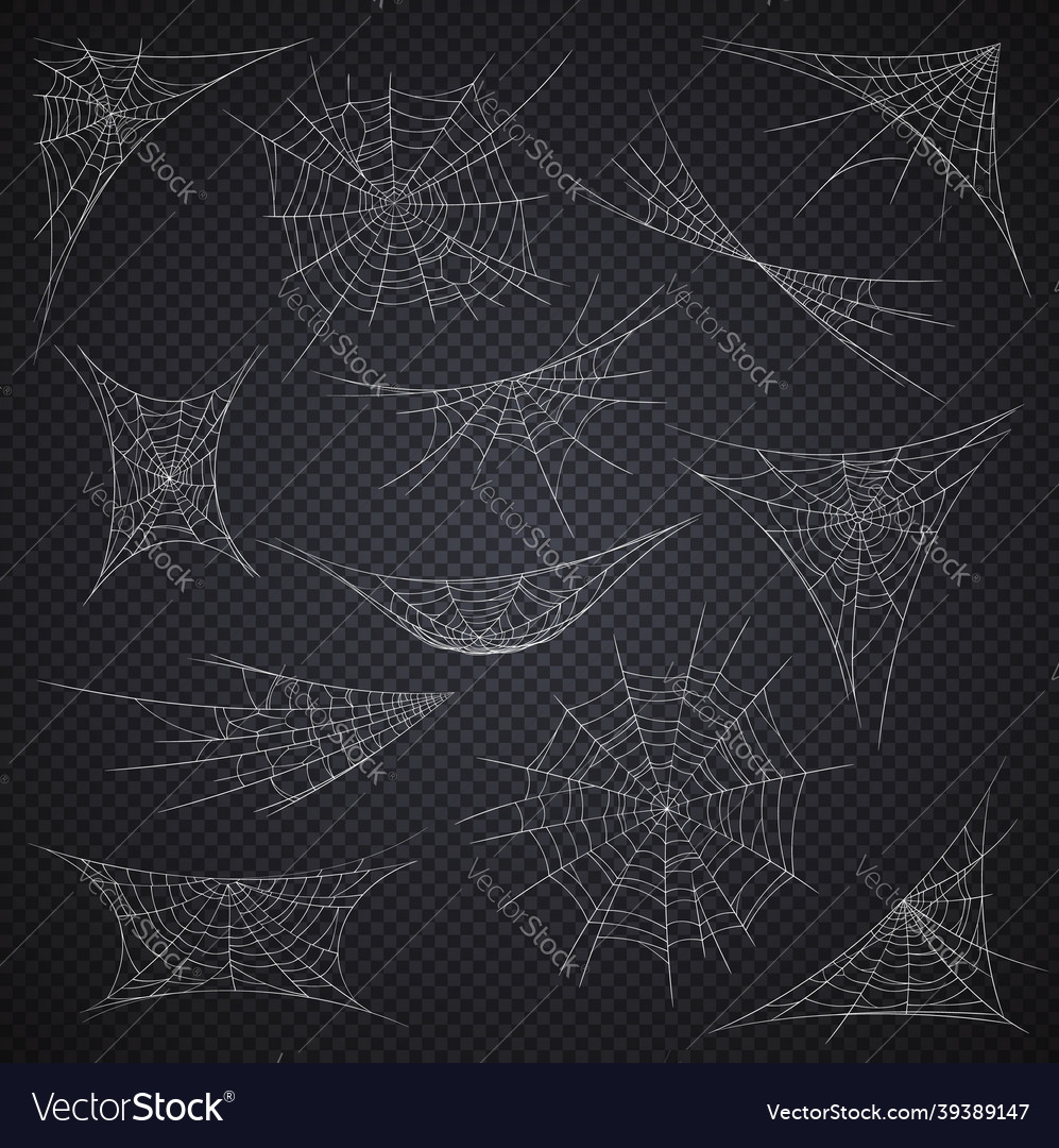 Isolated Spider Web And Cobweb Halloween Holiday Vector Image