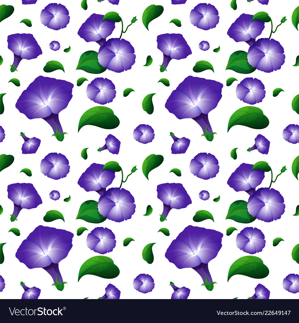 Morning glory flower seamless pattern Royalty Free Vector