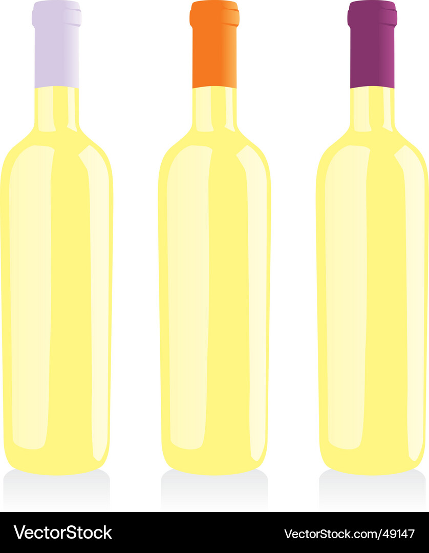 Wine bottles set Royalty Free Vector Image - VectorStock