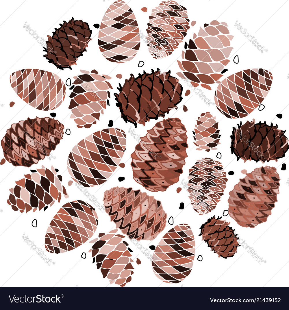 Cedar cone background sketch for your design vector image Cedar cone background sketch for your design