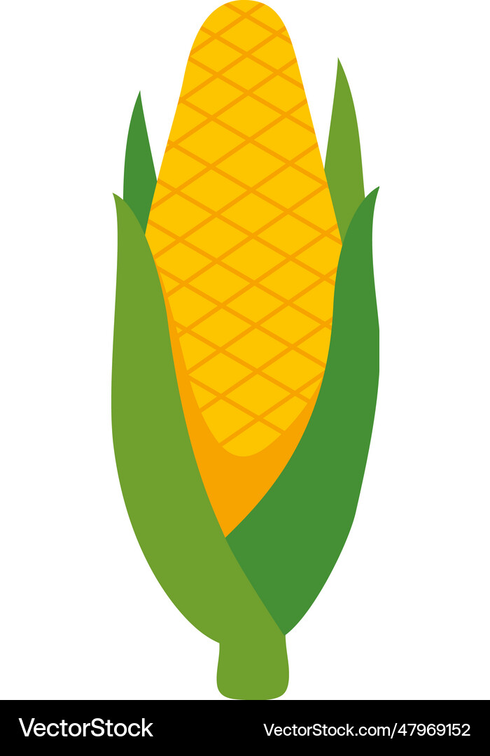 Corn vegetable icon isolated Royalty Free Vector Image