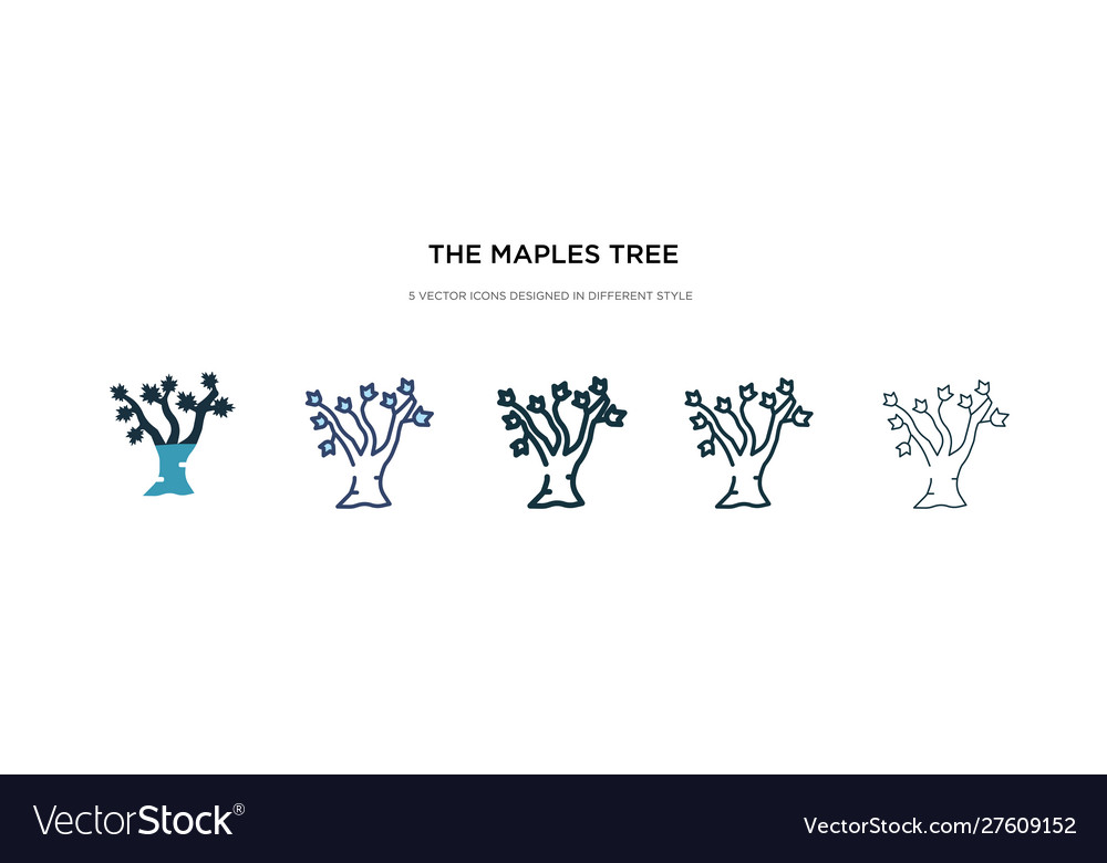 Maples tree icon in different style two colored