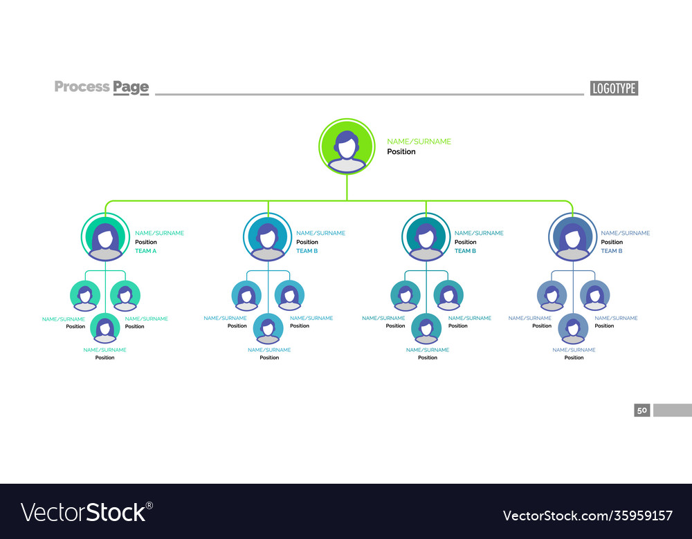 Company tree structure slide template Royalty Free Vector