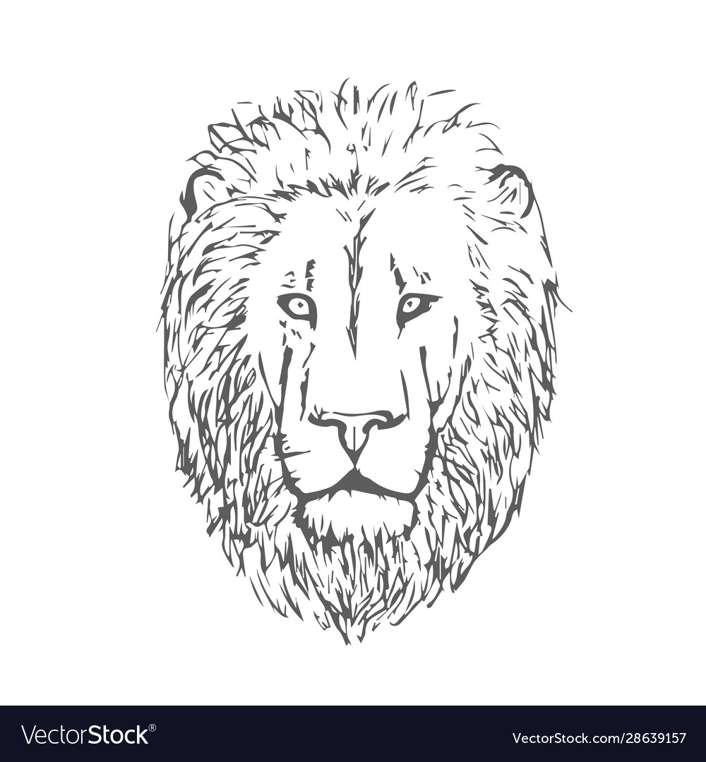 Hand drawn lion head face Royalty Free Vector Image