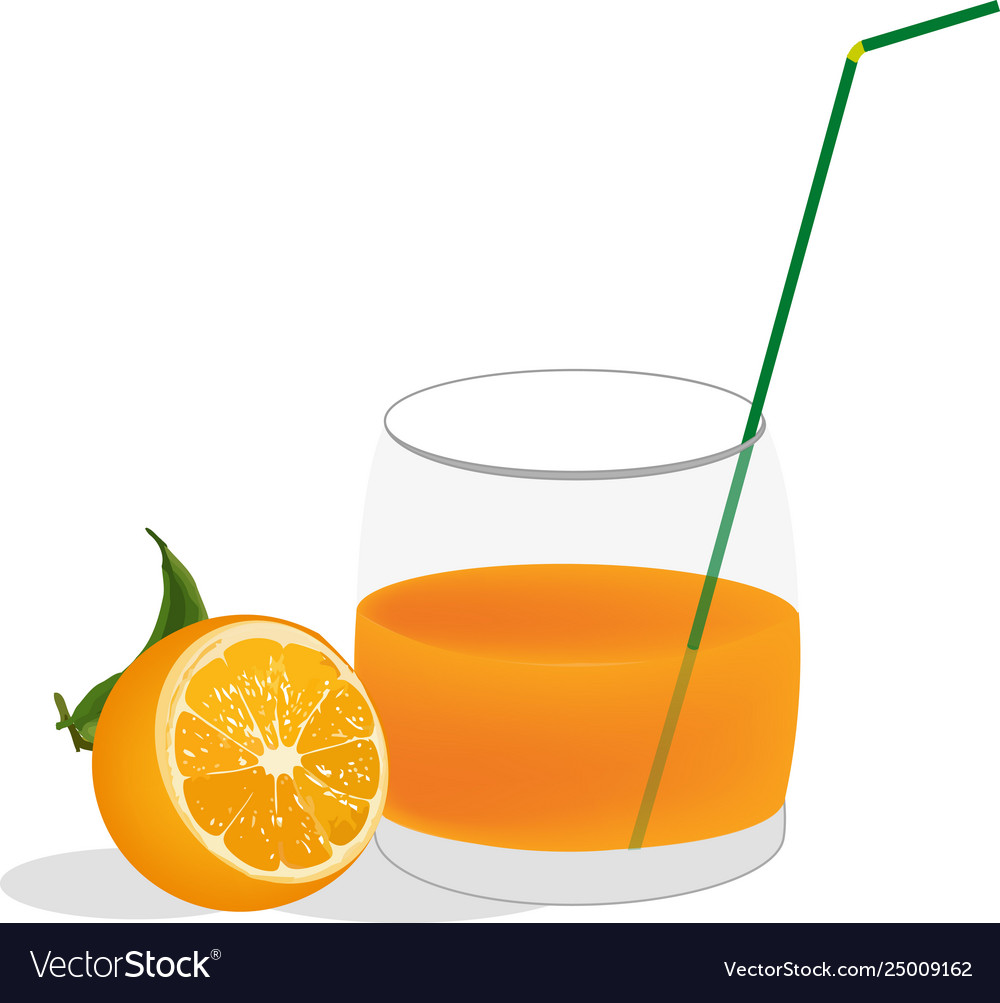 Glass orange juice Royalty Free Vector Image - VectorStock