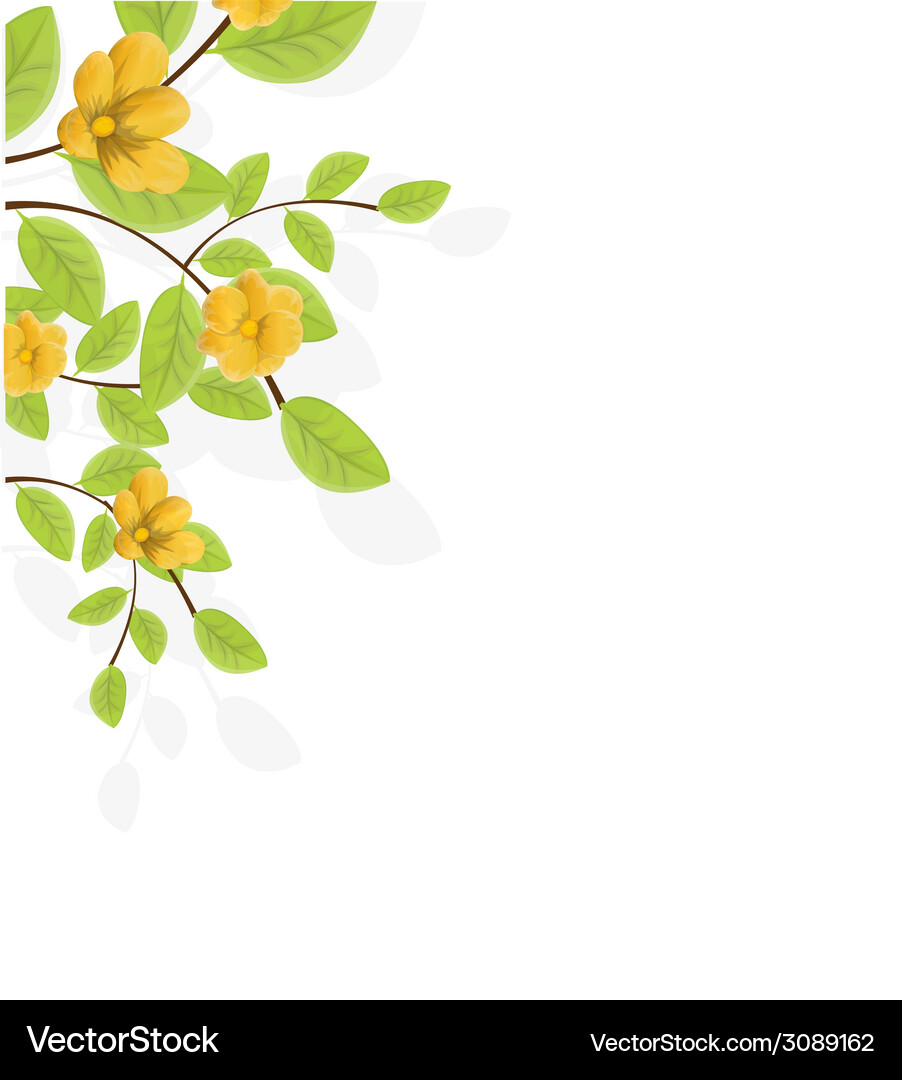 Spring background with flowers Royalty Free Vector Image