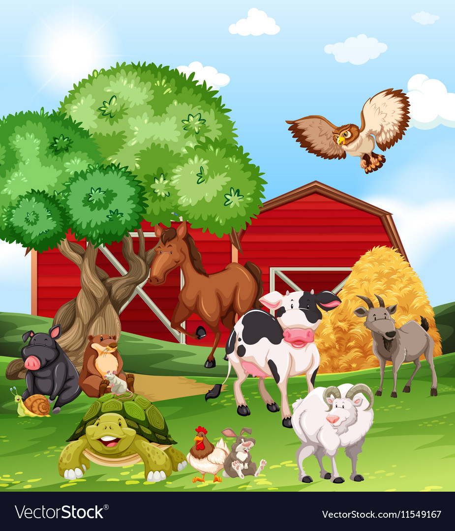 Farm Animals Living On The Royalty Free Vector Image