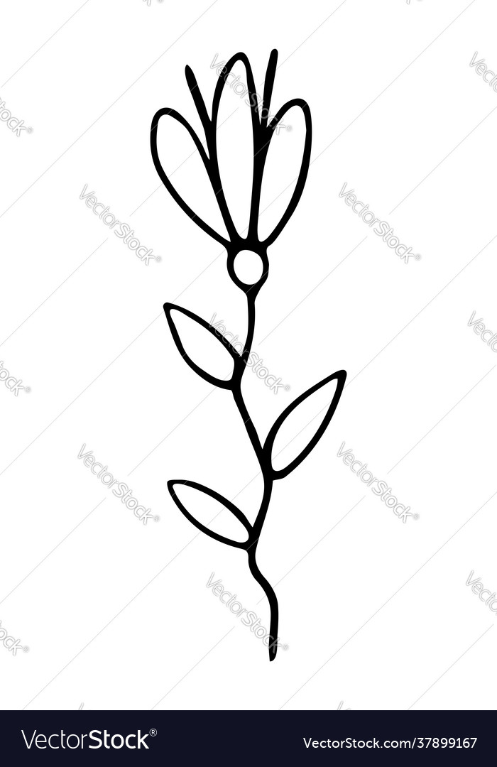 Isolated element with flower vector image Isolated element with flower