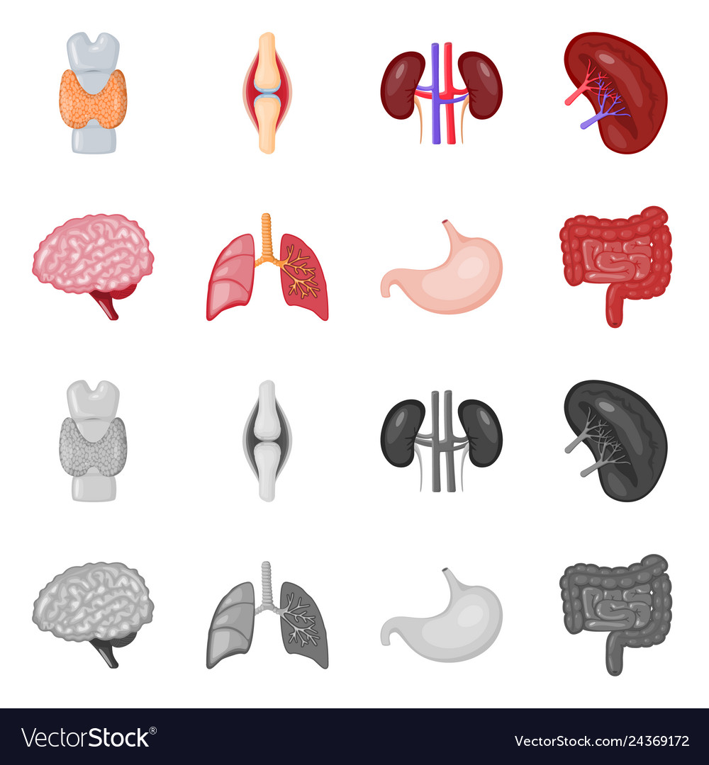 Design of biology and scientific logo