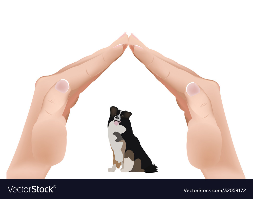 Hands in shape a roof over dog