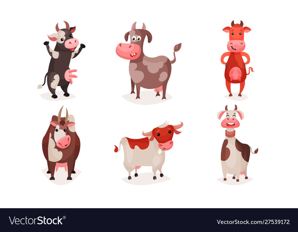 Set spotted cartoon cows