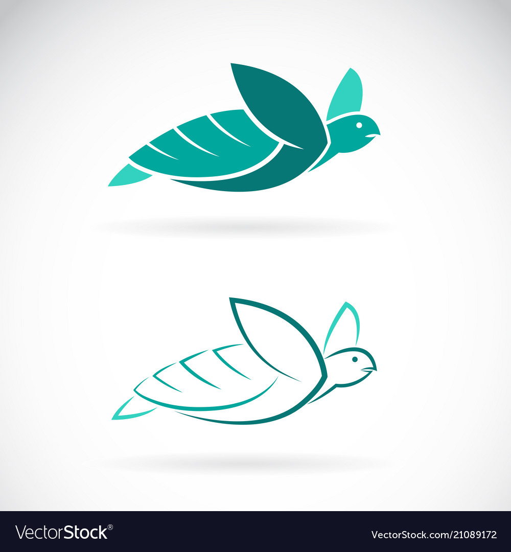 Turtle design on white background sea animals vector image Turtle design on white background sea animals
