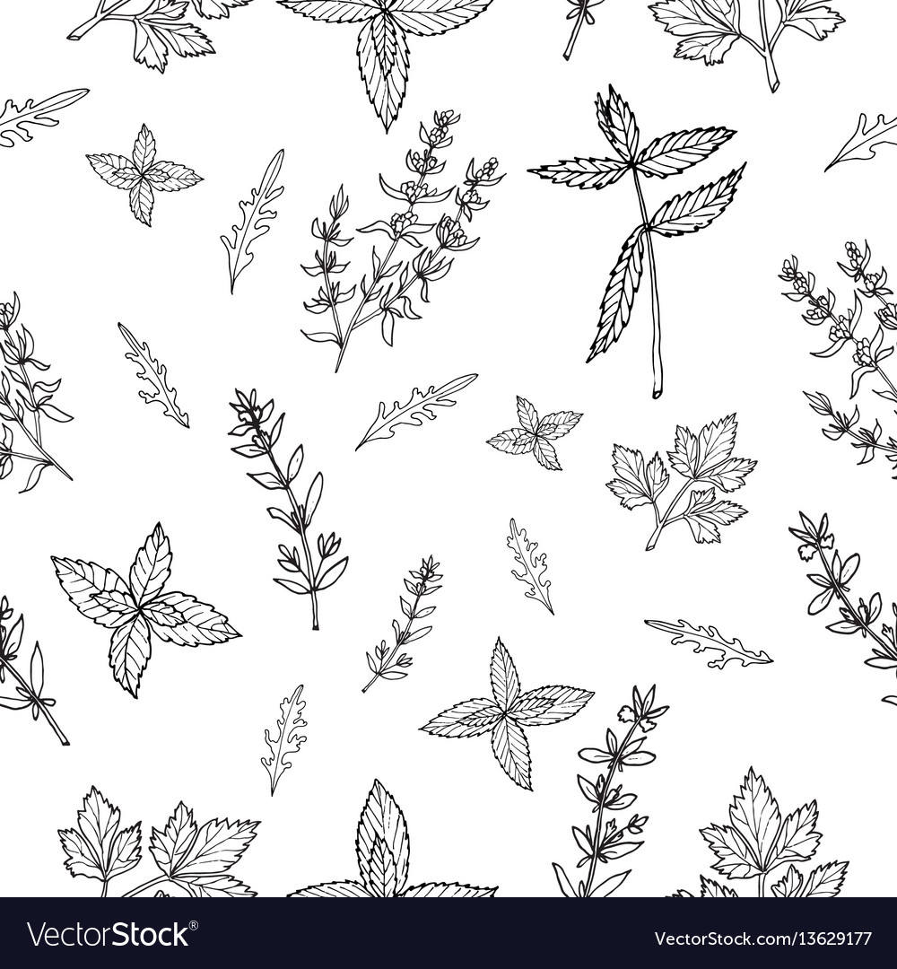 Herbal Seamless Pattern