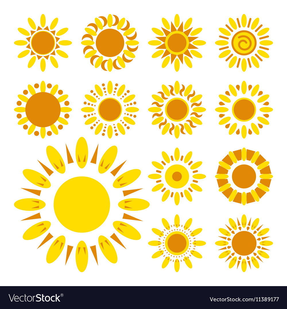 Set Daisy Icons Isolated Silhouettes Simple Vector Image