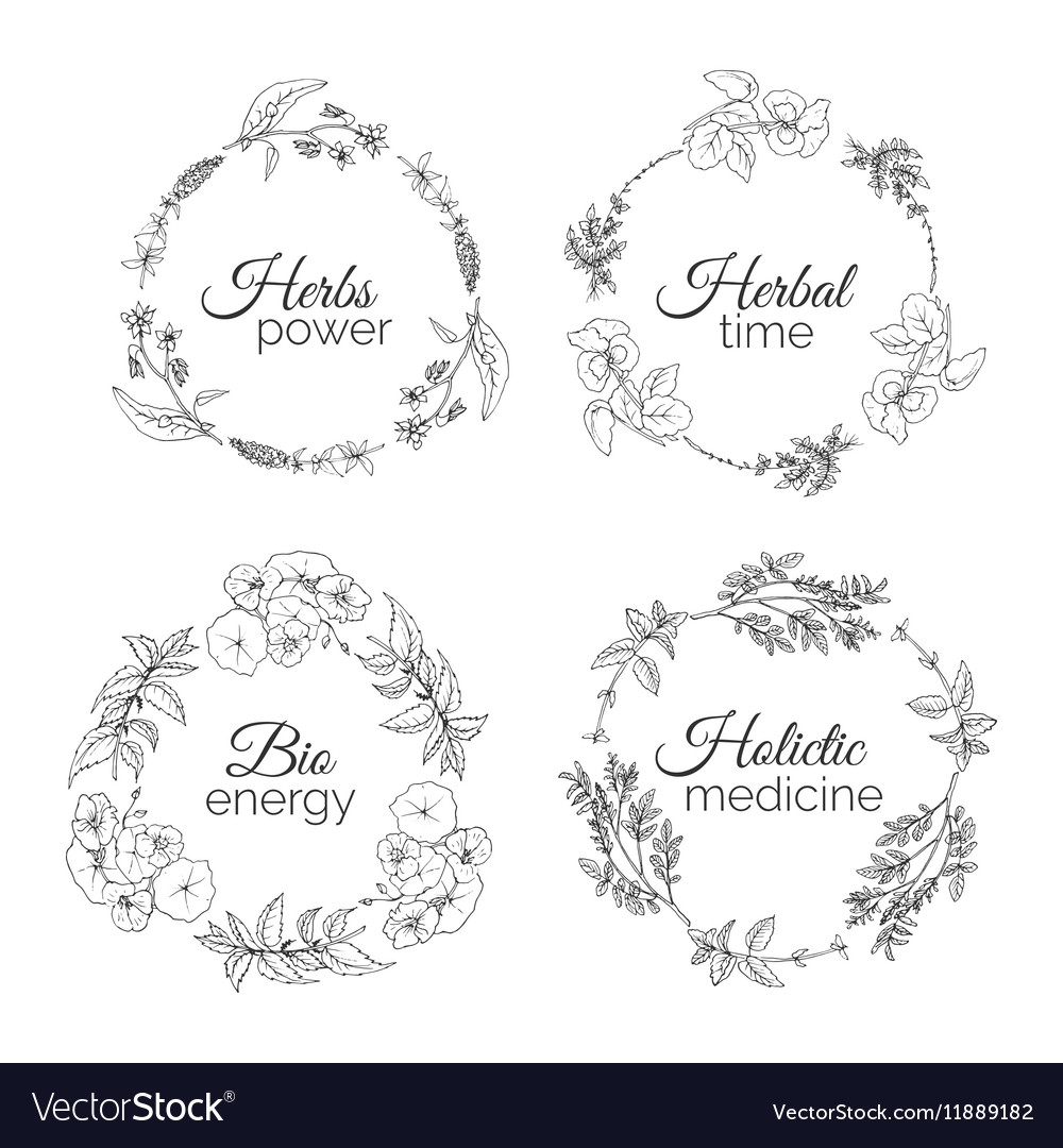 Herbs floral frames