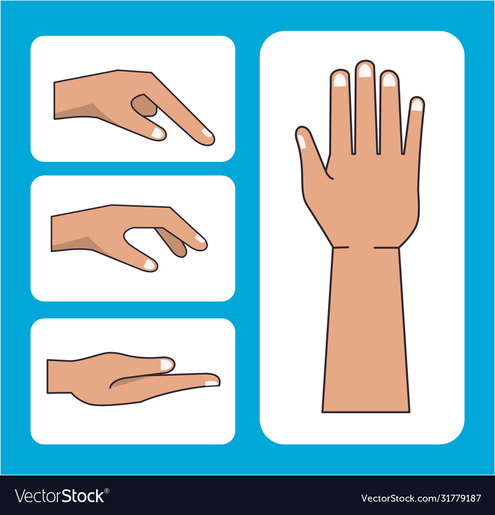 Hands Human With Different Positions Royalty Free Vector 3048