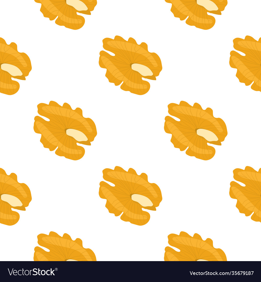 On theme big pattern identical types walnut Vector Image On theme big pattern identical types walnut