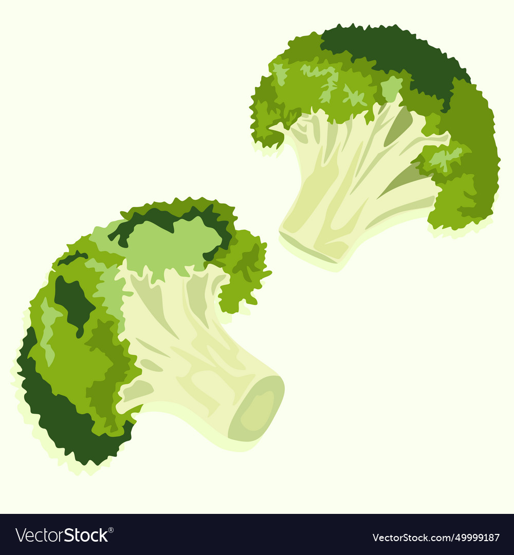 Two broccoli cabbages from different angles
