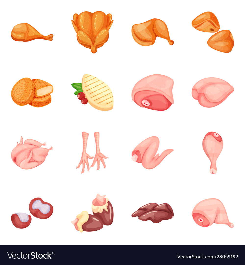 Isolated object meat and raw sign set Vector Image Isolated object meat and raw sign set