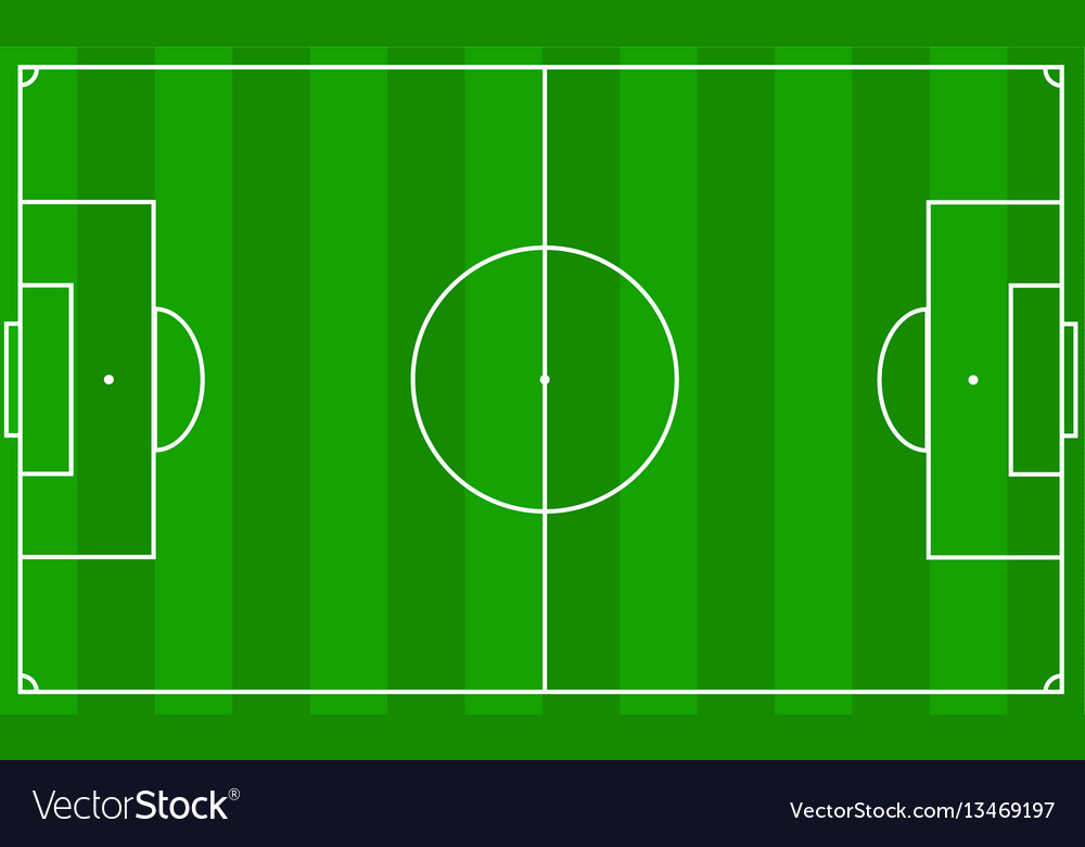 Soccer Field with Textured Grass