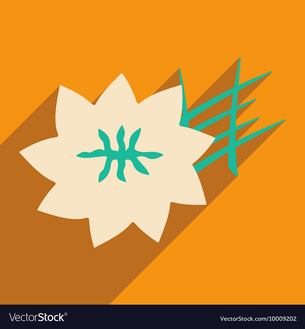 Flat with shadow icon and mobile application