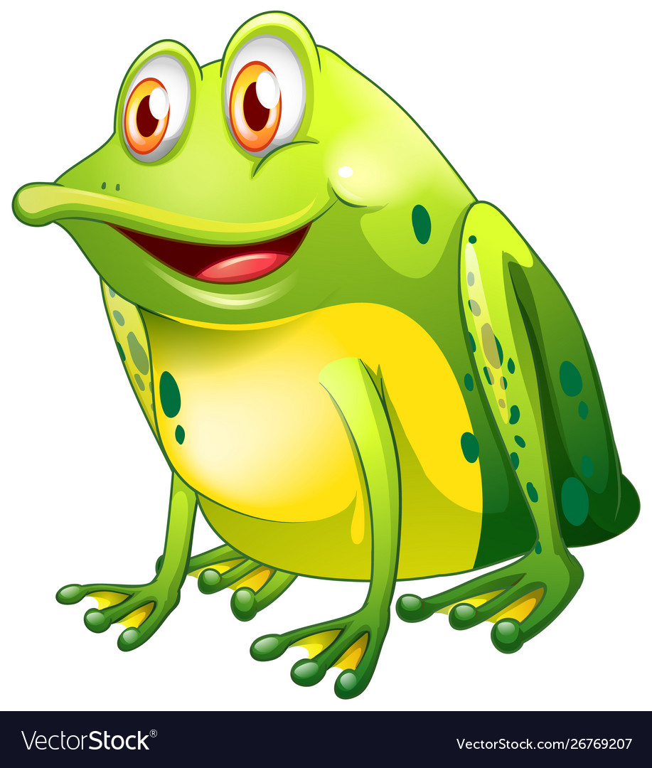 Green frog sitting on white background Royalty Free Vector