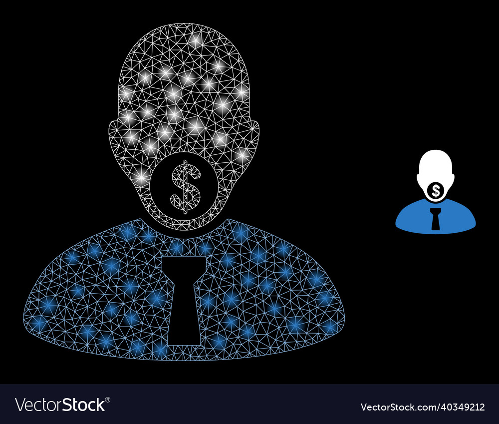 Mesh net hush money with shiny vector image Mesh net hush money with shiny