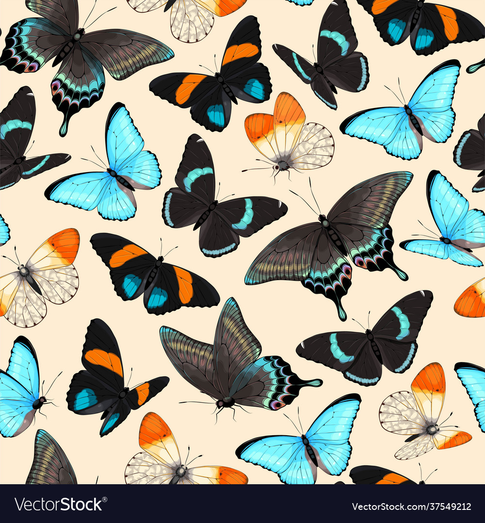 Pattern with high detailed tropic butterfly Vector Image