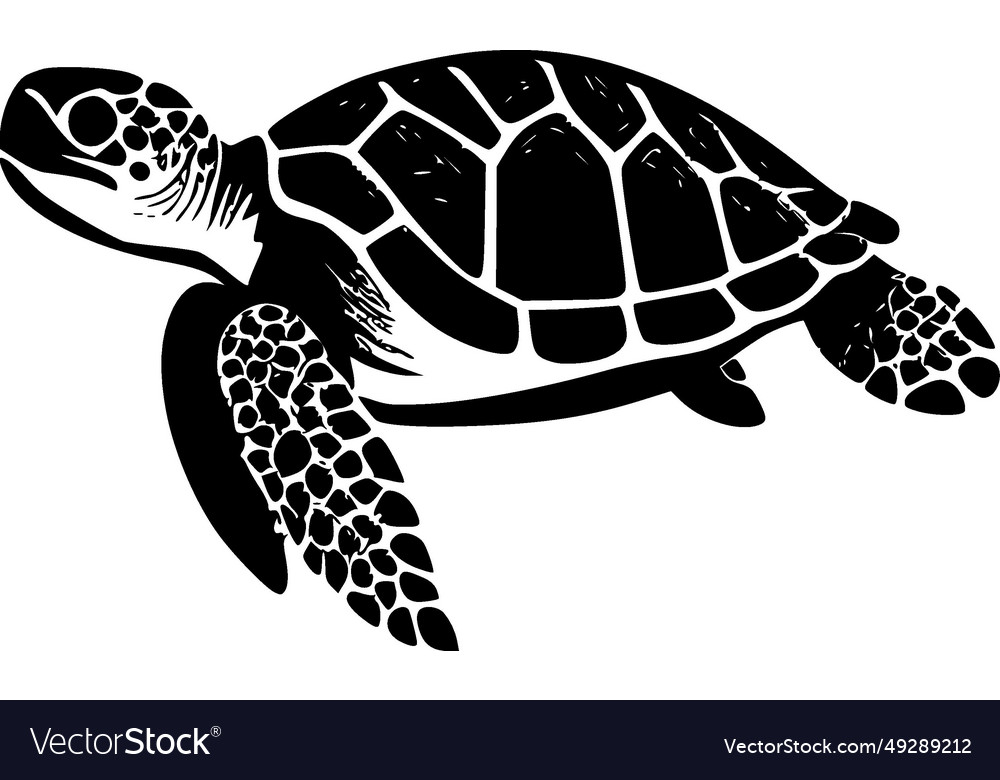 Sea turtle - black and white isolated icon Vector Image