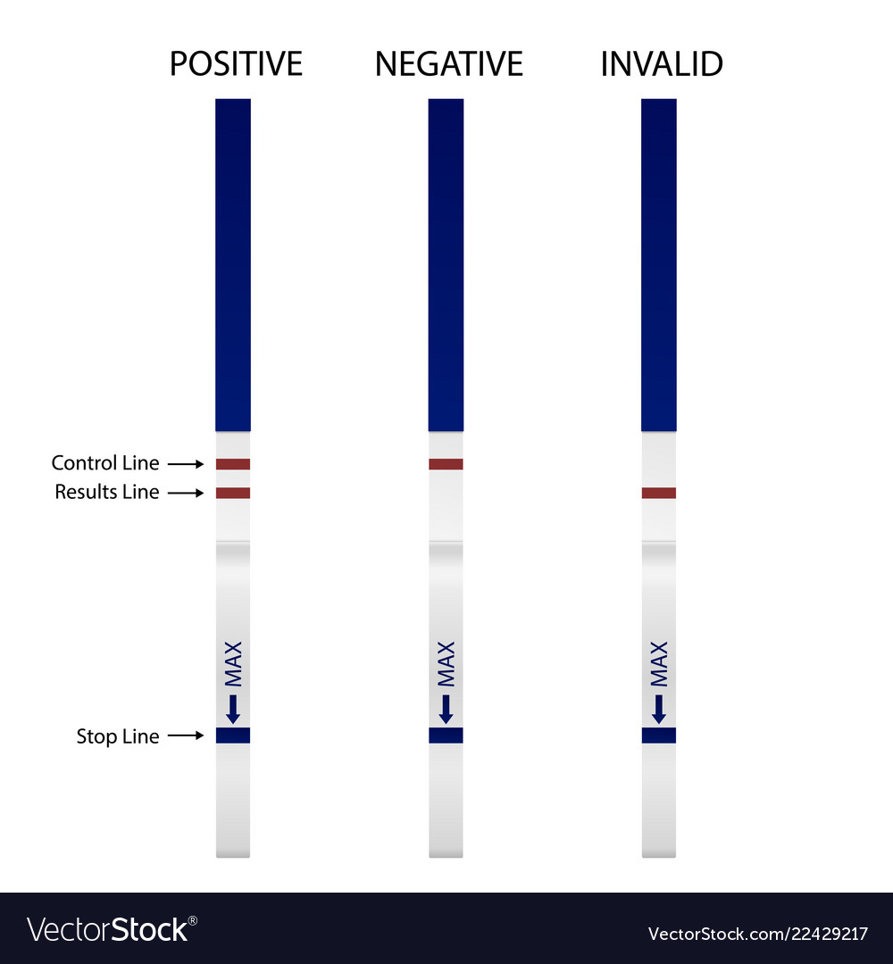 Realistic 3d Pregnancy Test Strip Royalty Free Vector Image