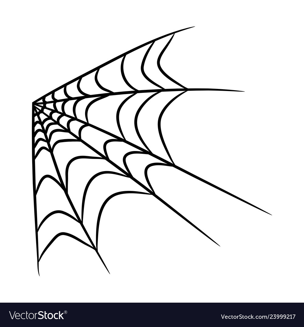 Spider web symbol icon design beautiful isolated