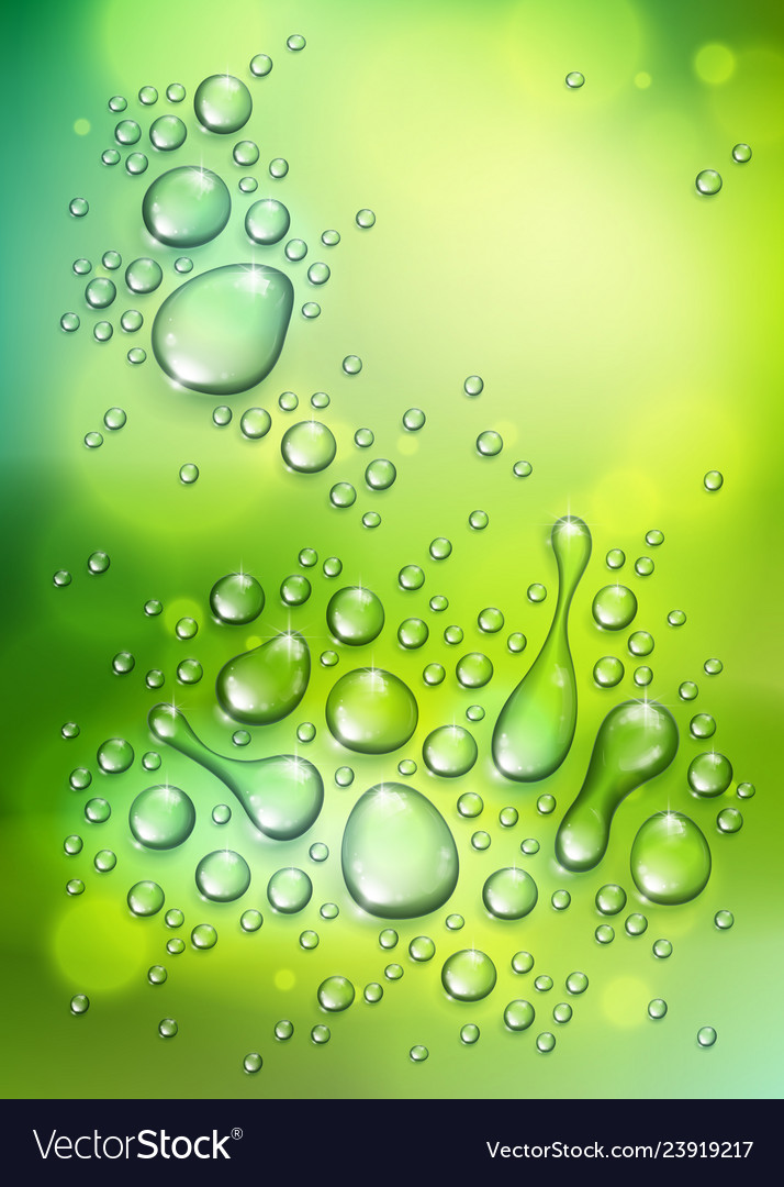 Water rain drops or condensation over blurred Vector Image