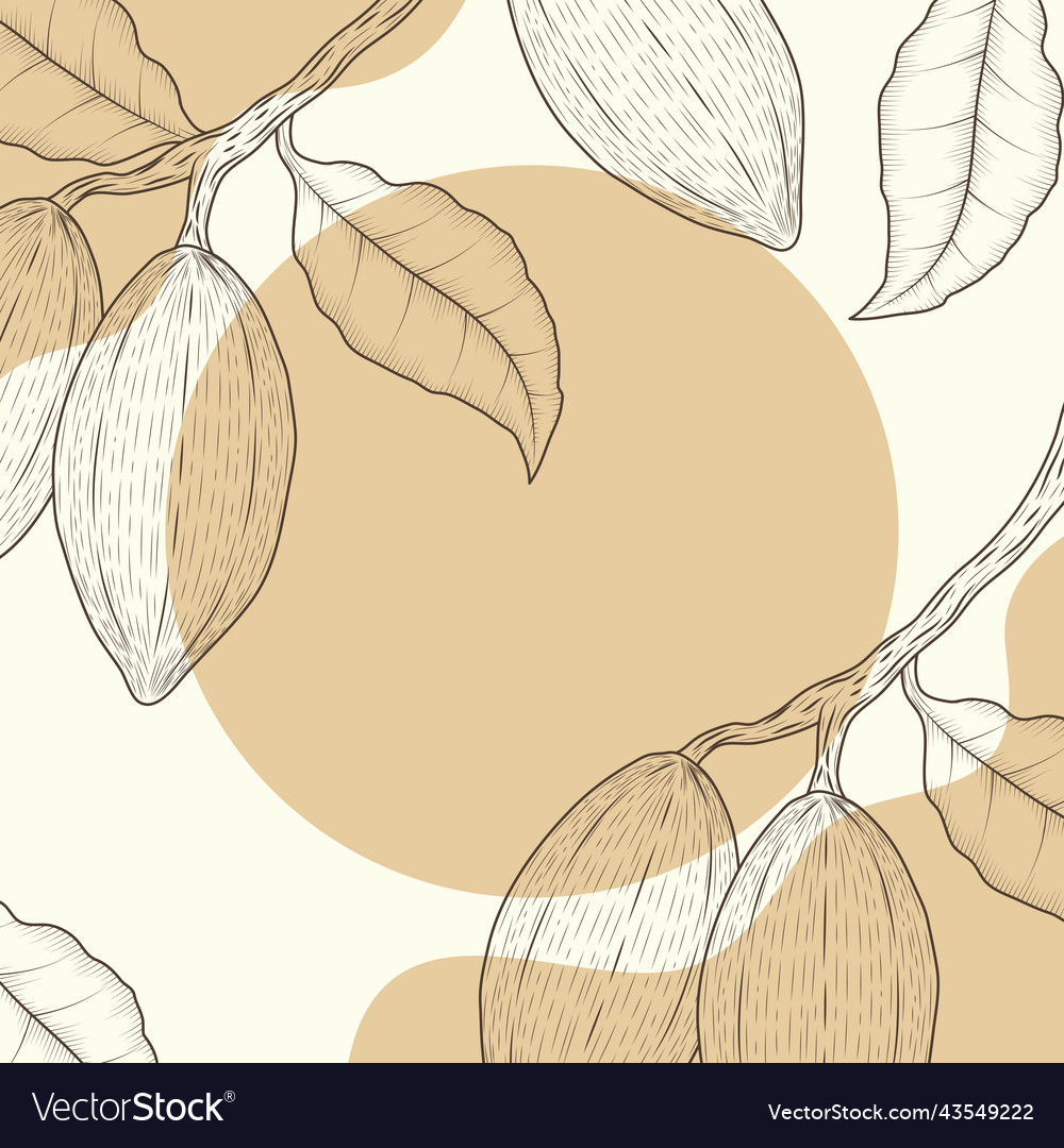 Cocoa branches in frame
